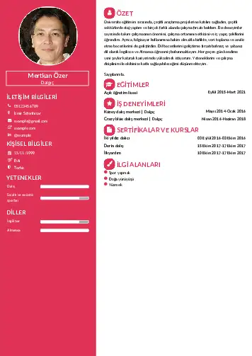 Dalgıç CV Örnekleri cv indir